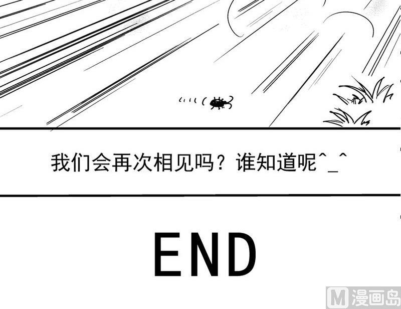 苍狼20