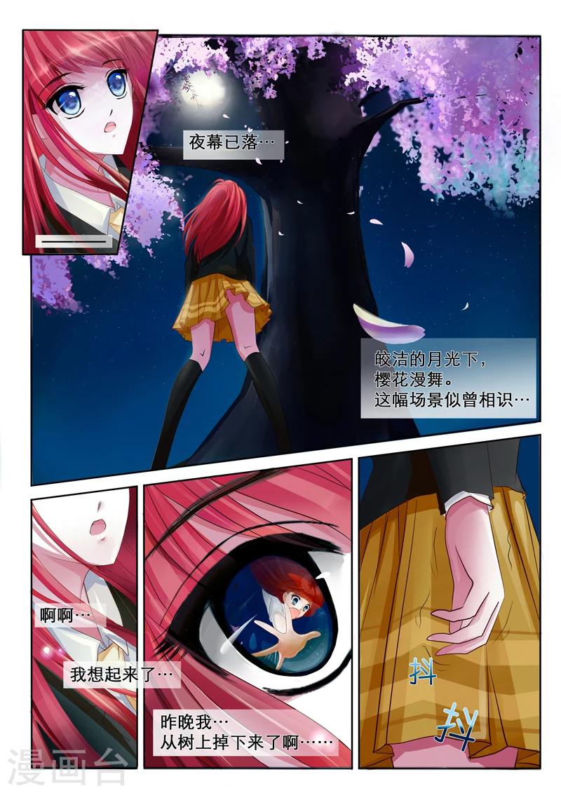 第2话 特莱西柯6