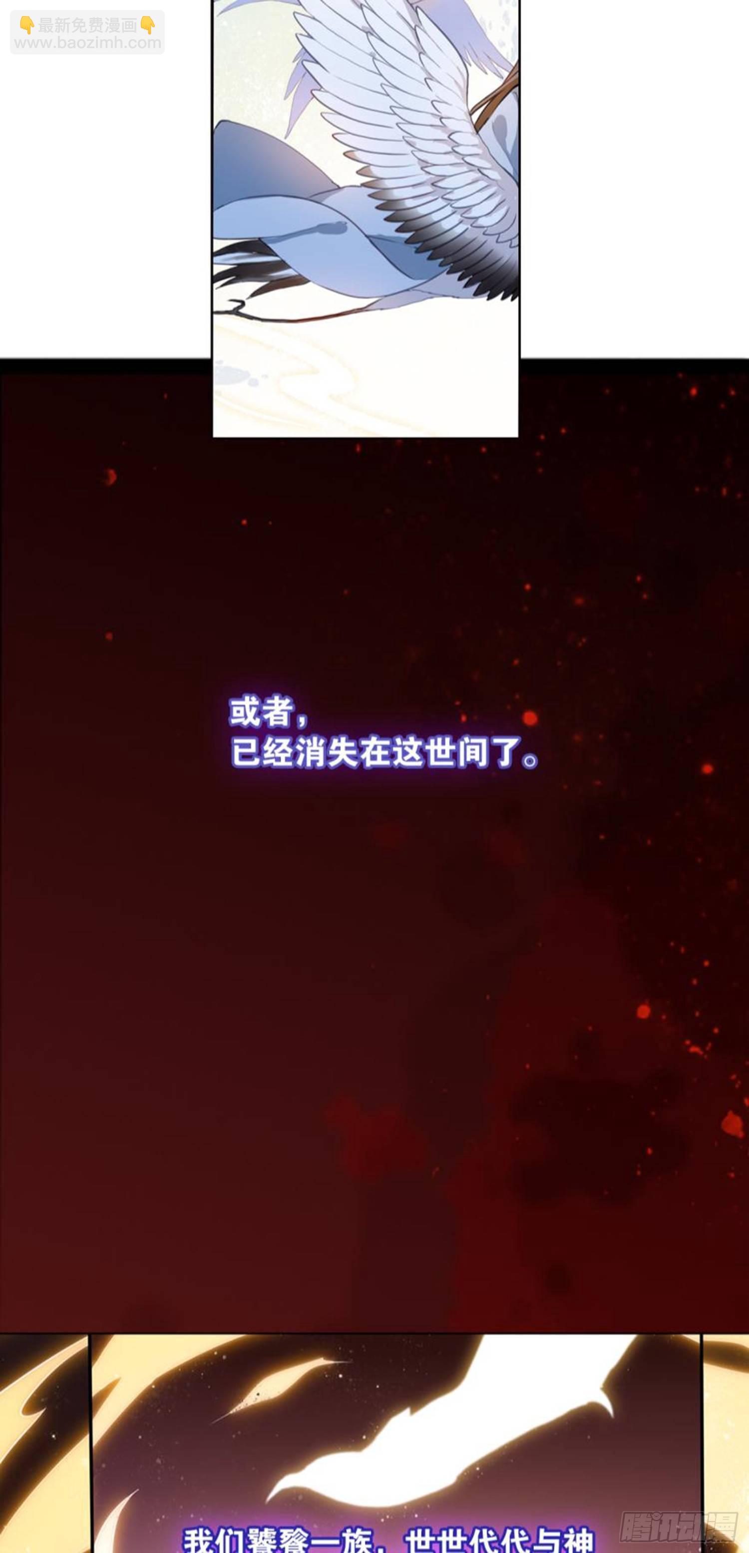 他的计划36