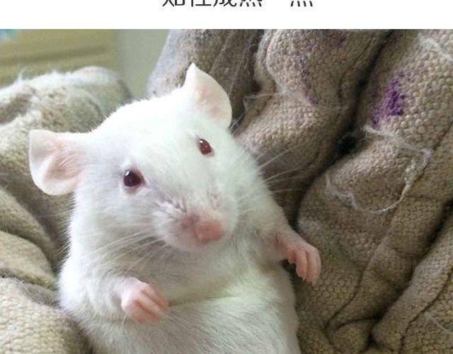 第二期 我终于被彭于晏壁咚了！！！37
