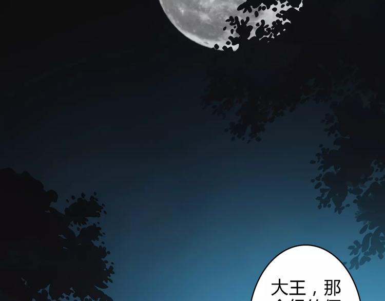 神秘行李10
