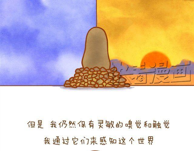 最真实的你最珍贵5