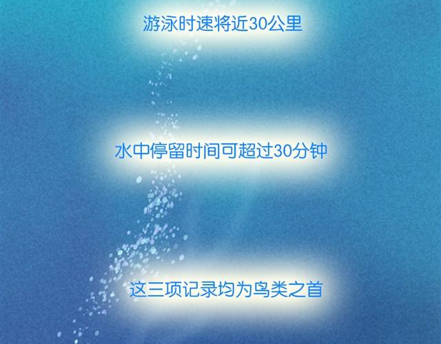 每个人，都有自己的长处呀12
