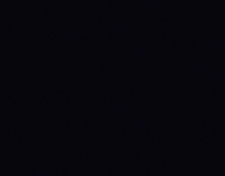 花环依旧198