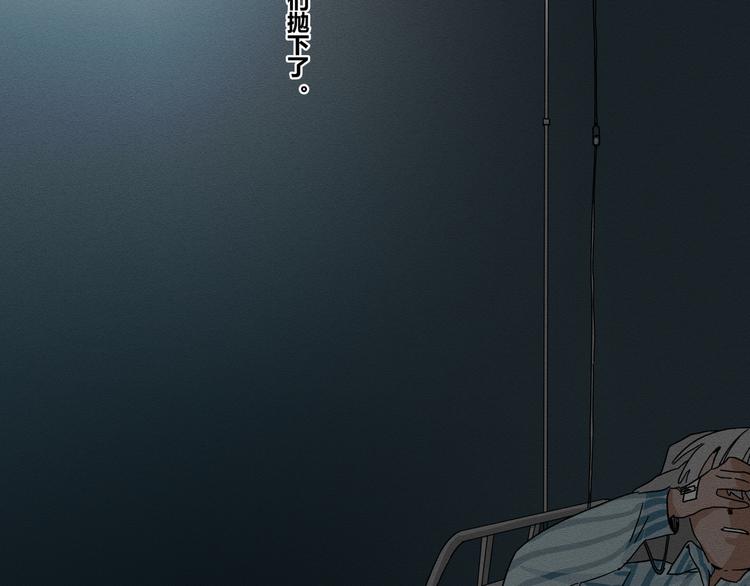 花环依旧258