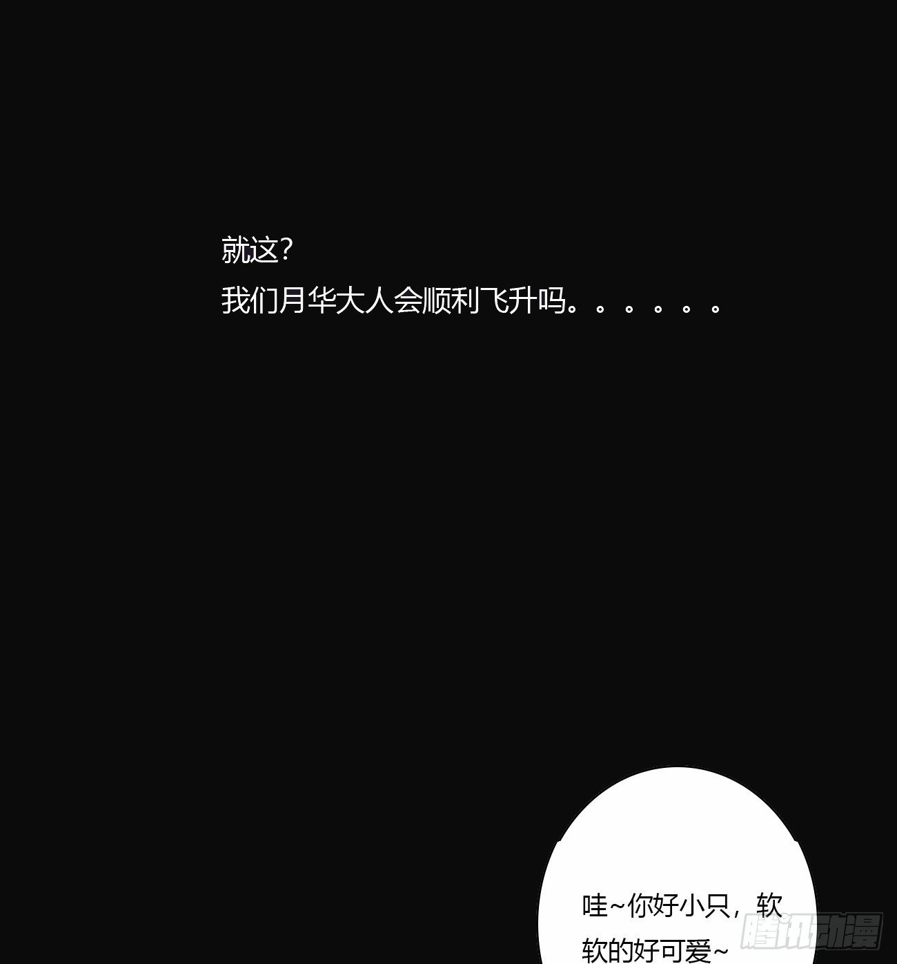 预告19