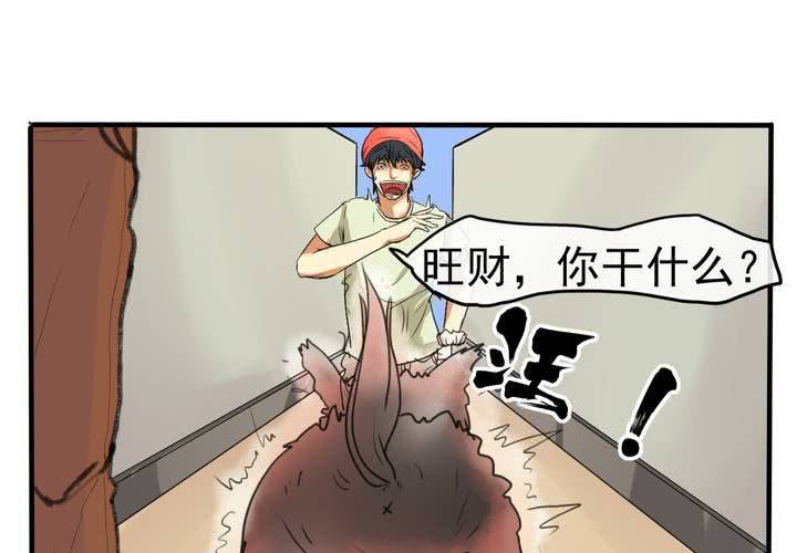 第四回：鱼游釜中（下）17