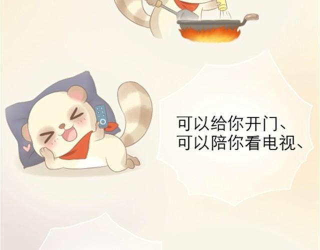 第1~6话 家里闯进了一只浣熊128
