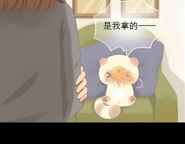 第1~6话 家里闯进了一只浣熊58