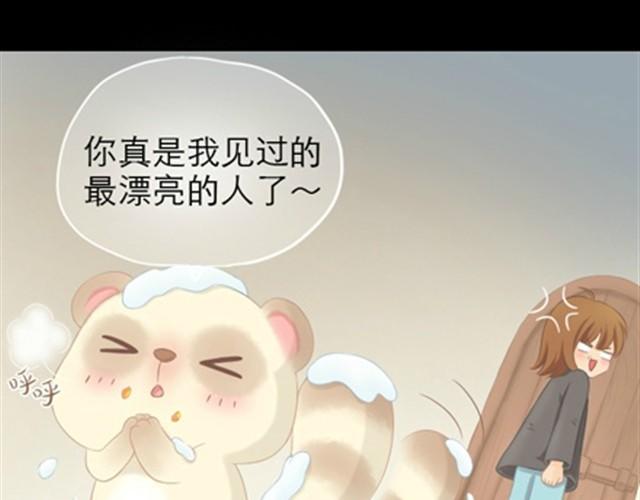 第1~6话 家里闯进了一只浣熊97