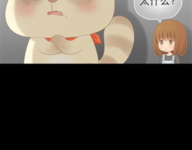 第1~6话 家里闯进了一只浣熊121