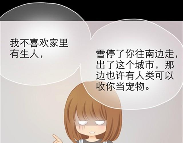第1~6话 家里闯进了一只浣熊116