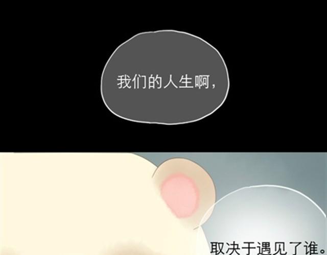 第1~6话 家里闯进了一只浣熊63