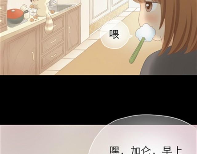 第1~6话 家里闯进了一只浣熊141