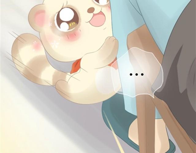 第1~6话 家里闯进了一只浣熊123