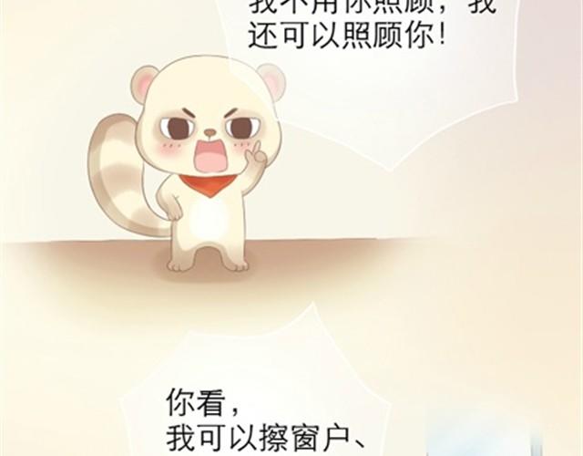 第1~6话 家里闯进了一只浣熊126