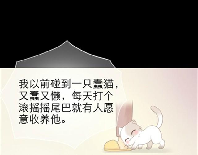 第1~6话 家里闯进了一只浣熊118