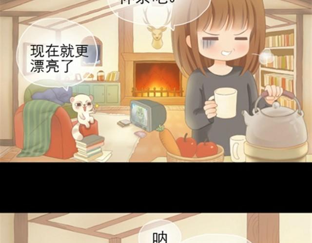 第1~6话 家里闯进了一只浣熊99