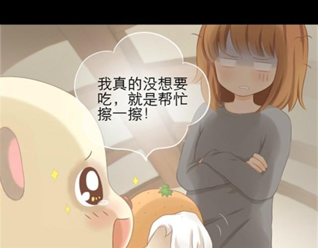 第1~6话 家里闯进了一只浣熊59