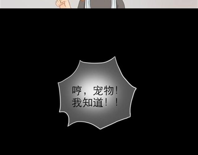 第1~6话 家里闯进了一只浣熊117
