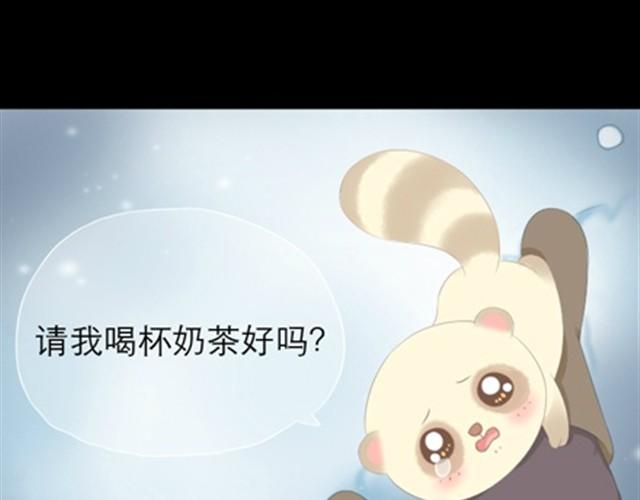 第1~6话 家里闯进了一只浣熊39