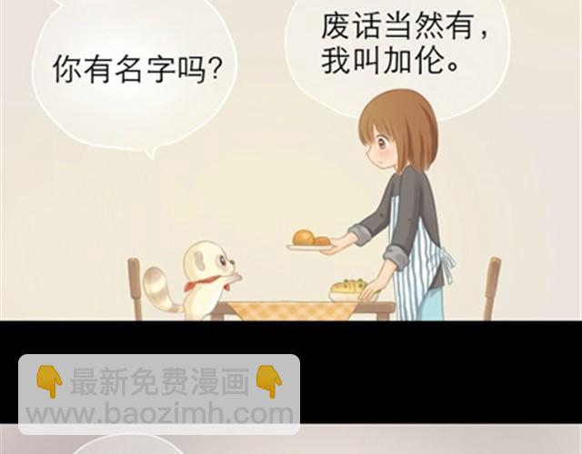 第1~6话 家里闯进了一只浣熊108