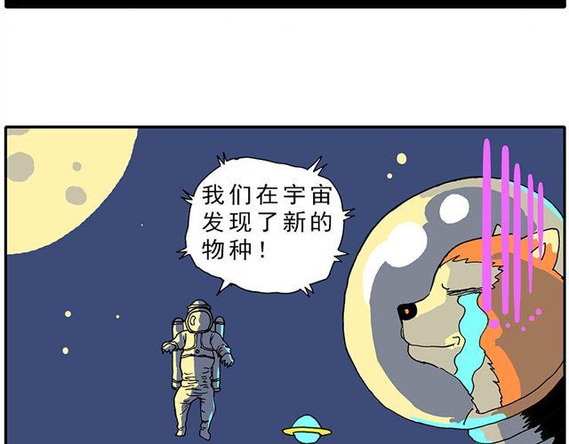 02-03. 豆腐的性能测试28