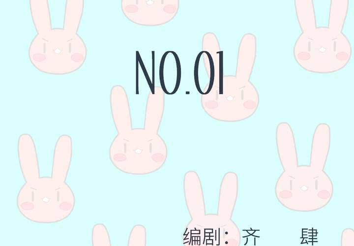 NO.011