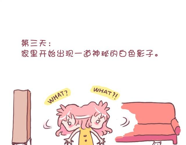 第1话 中华田园猫的故事8