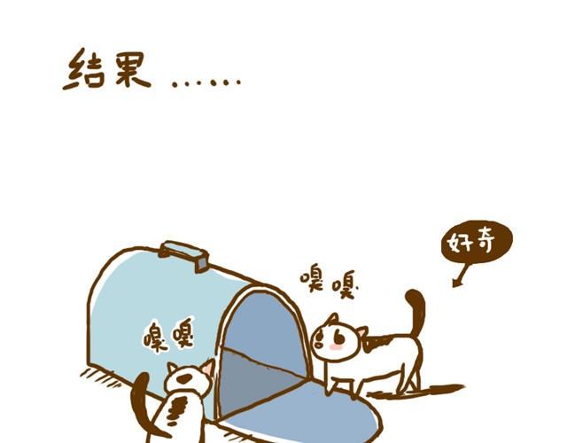 第5话 打疫苗3