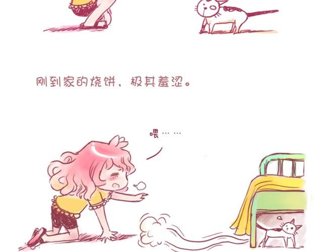 第1话 中华田园猫的故事1
