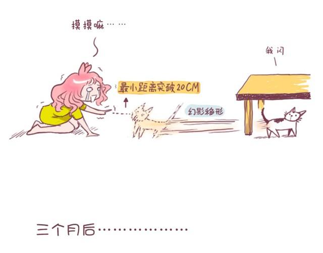 第1话 中华田园猫的故事10