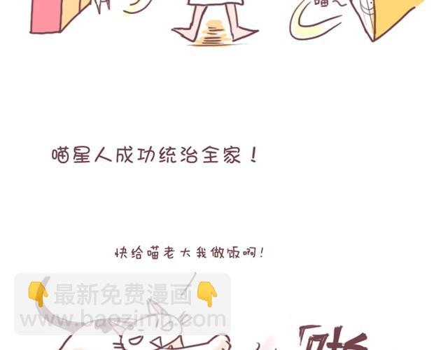 第1话 中华田园猫的故事13
