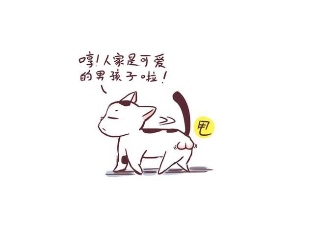 第2话 性别的真相12
