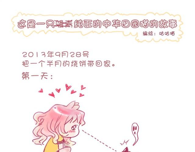 第1话 中华田园猫的故事0
