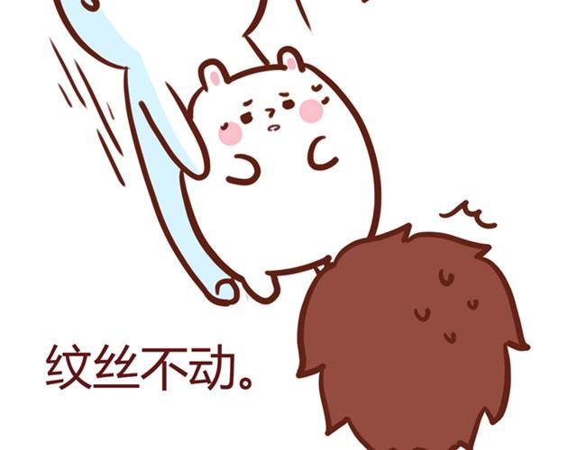 抱不起来的拉奇9