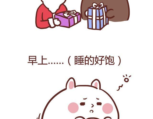 拉奇兔的圣诞礼物！8