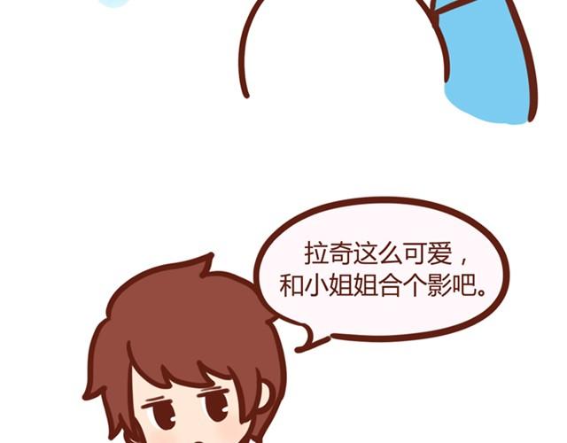 抱不起来的拉奇2