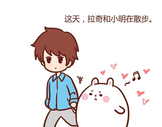 抱不起来的拉奇0