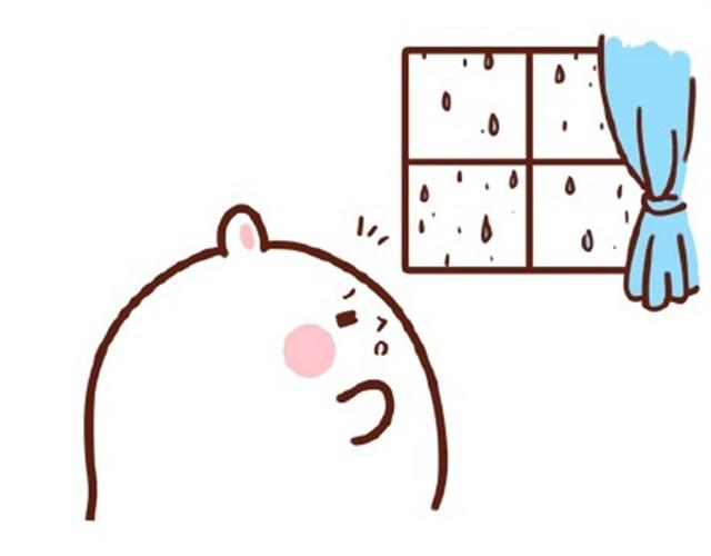 我来接你啦0