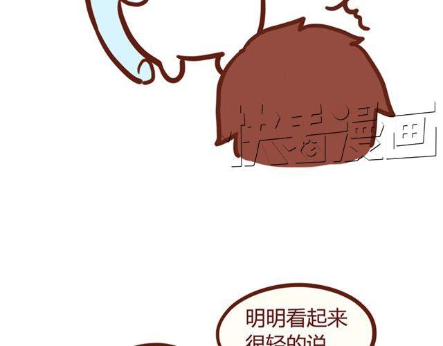抱不起来的拉奇6