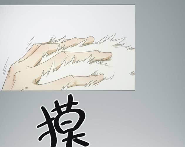 第1话 那人 那狗 那啥...5