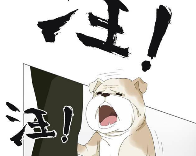 第1话 那人 那狗 那啥...31