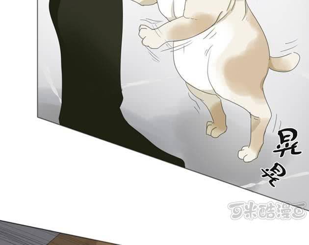 第1话 那人 那狗 那啥...32