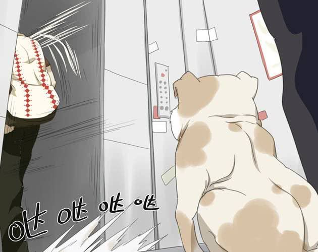 第1话 那人 那狗 那啥...46