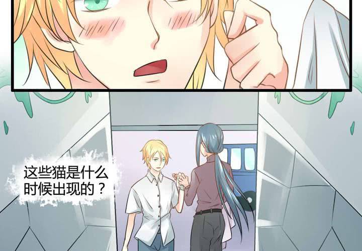 第六话31