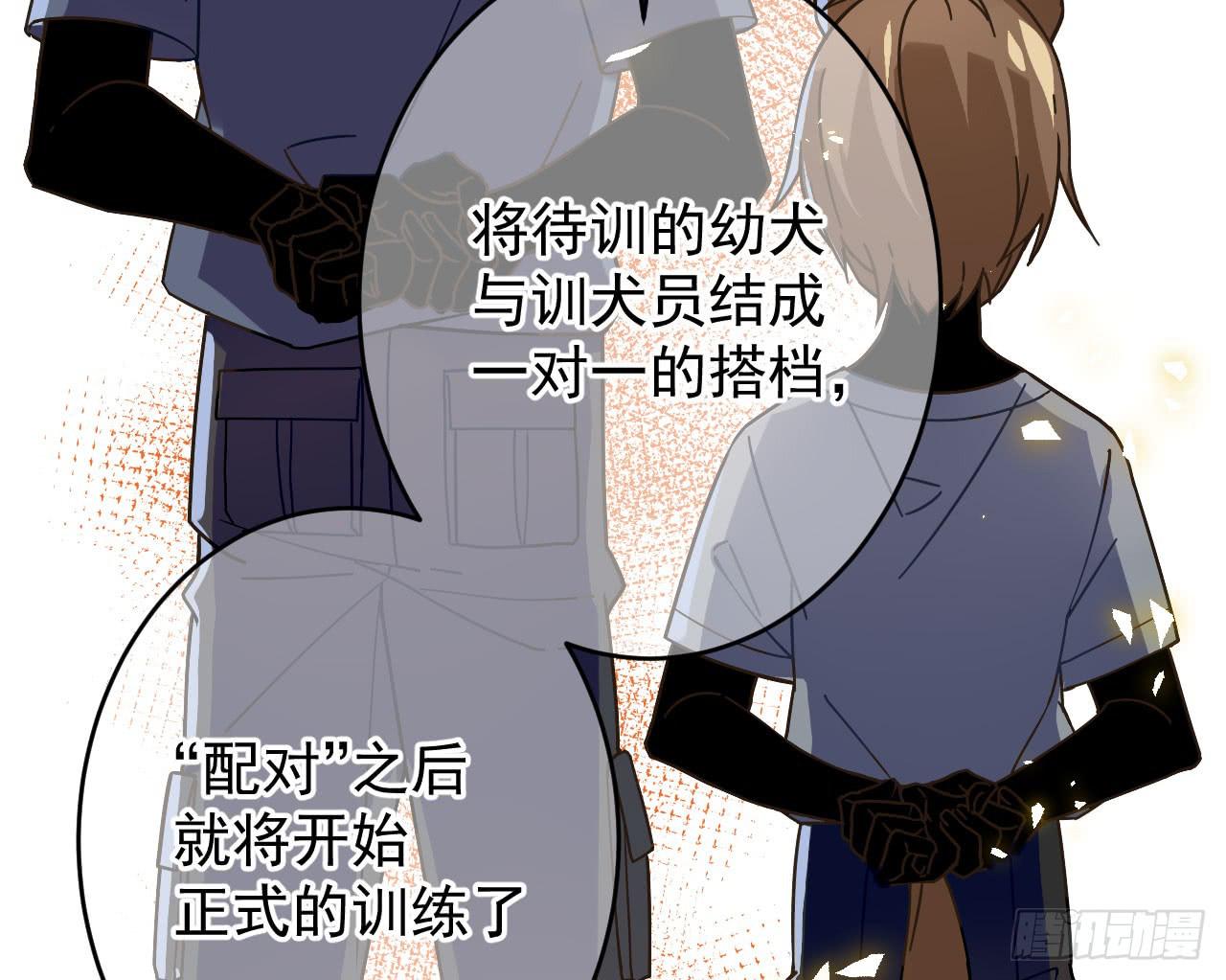 2.失踪38