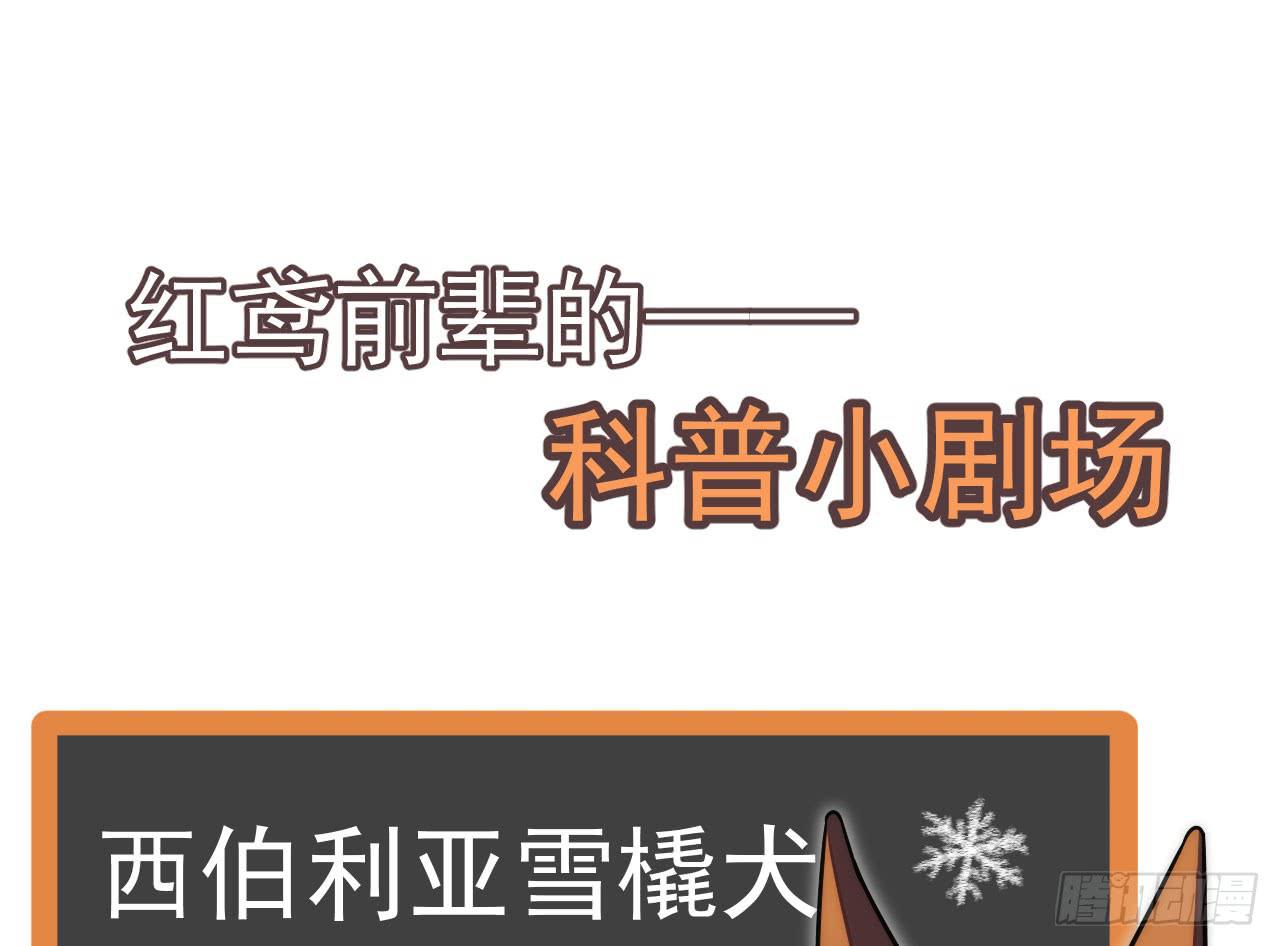 5.侦查109