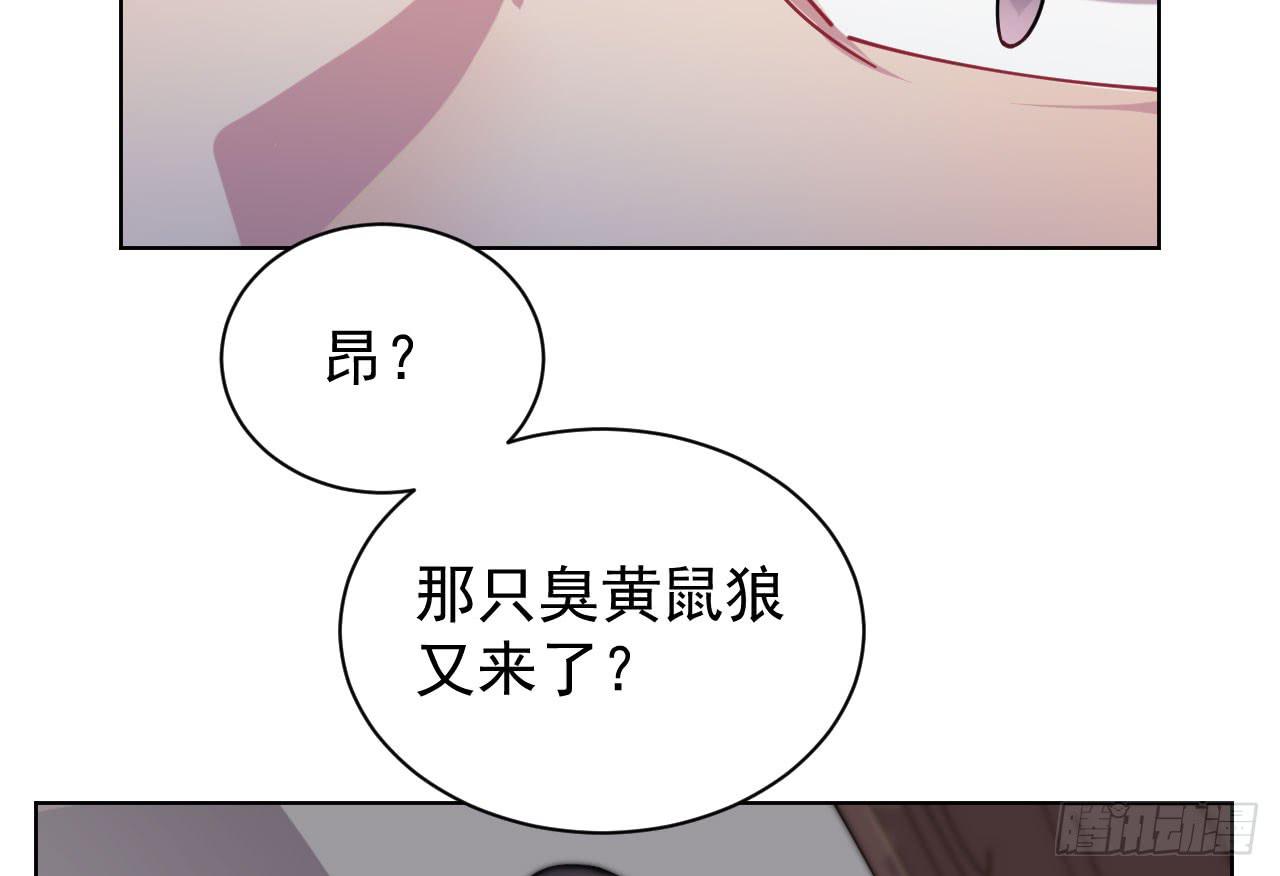 8.冲突15