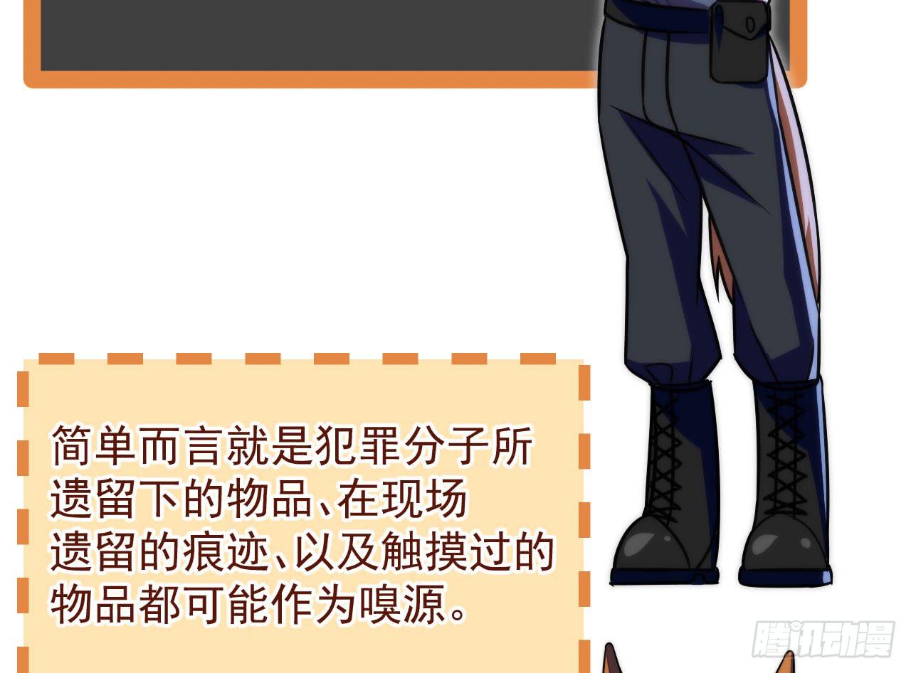 4.追迹95